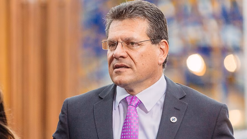 EU Trade Chief Proposes Law Requiring Three Suppliers for Critical Goods
