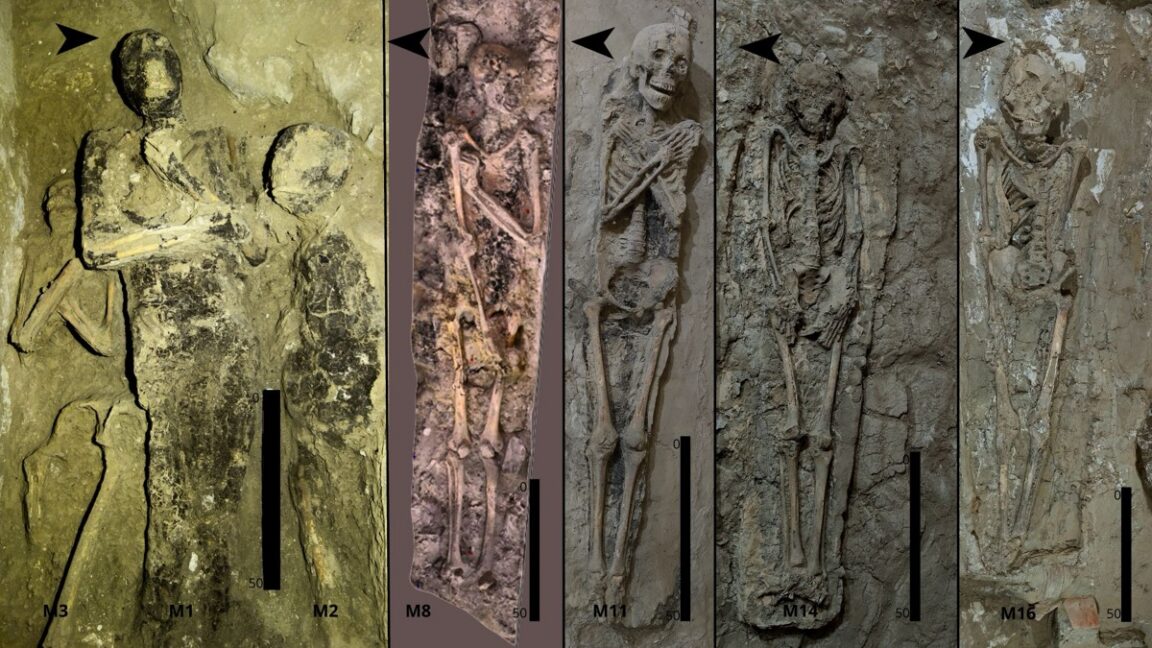 Theban Tomb 209 Reveals Centuries of Shifting Egyptian Burial Practices